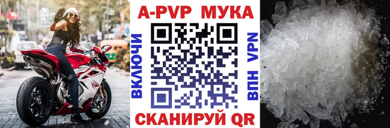 Купить где Чадан APVP мука