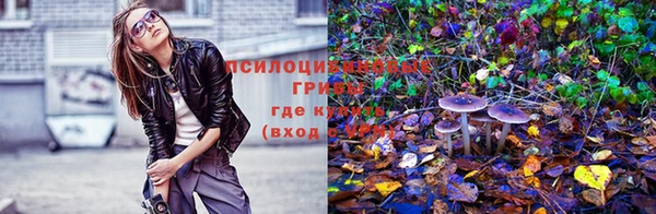 бошки Нефтекумск