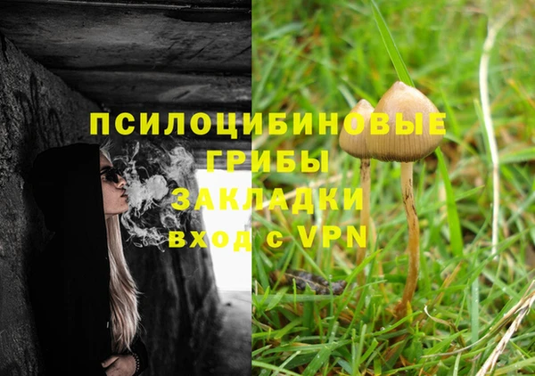 бошки Нефтекумск