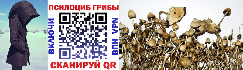 Купить  Чадан  Псилоцибиновые грибы мухоморы 